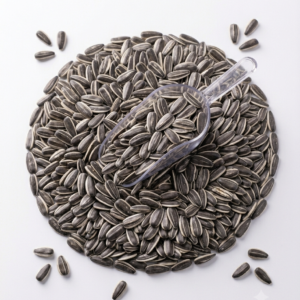 Saulespuķu sēklas