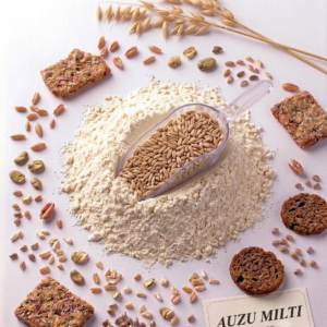 Auzu milti