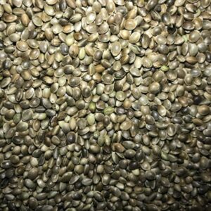 Kaņepju sēklas