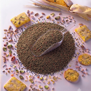 Granulēta broileriem
